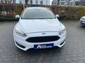 Ford Focus Turnier Business Blanc - thumbnail 2