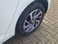 Volkswagen Golf Sound/2.Ha/Navi/Carplay/PDC/Alus/Eu6/5.Tür/TOP Weiß - thumbnail 8