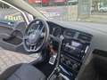 Volkswagen Golf Sound/2.Ha/Navi/Carplay/PDC/Alus/Eu6/5.Tür/TOP Weiß - thumbnail 14
