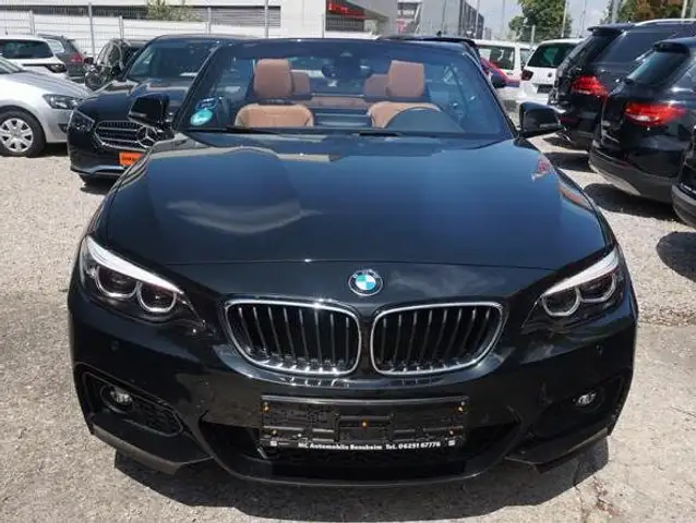 BMW 230 230 i M Sport Cabrio