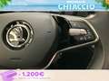 Skoda Fabia 1.0 mpi evo selection 80cv Grijs - thumbnail 17