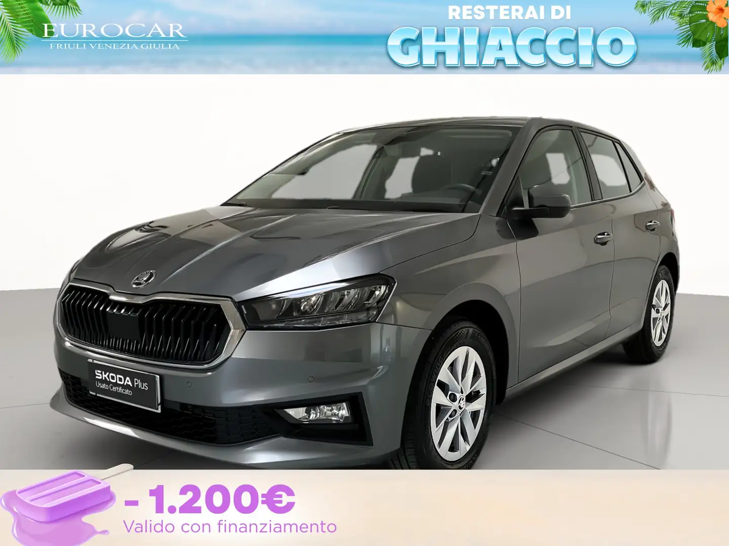 Skoda Fabia 1.0 mpi evo selection 80cv Grijs - 1