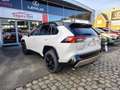 Toyota RAV 4 Style Plus Blanc - thumbnail 4