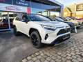 Toyota RAV 4 Style Plus Blanc - thumbnail 15