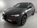 Alfa Romeo Stelvio 2.2 Turbo Veloce Gris - thumbnail 1