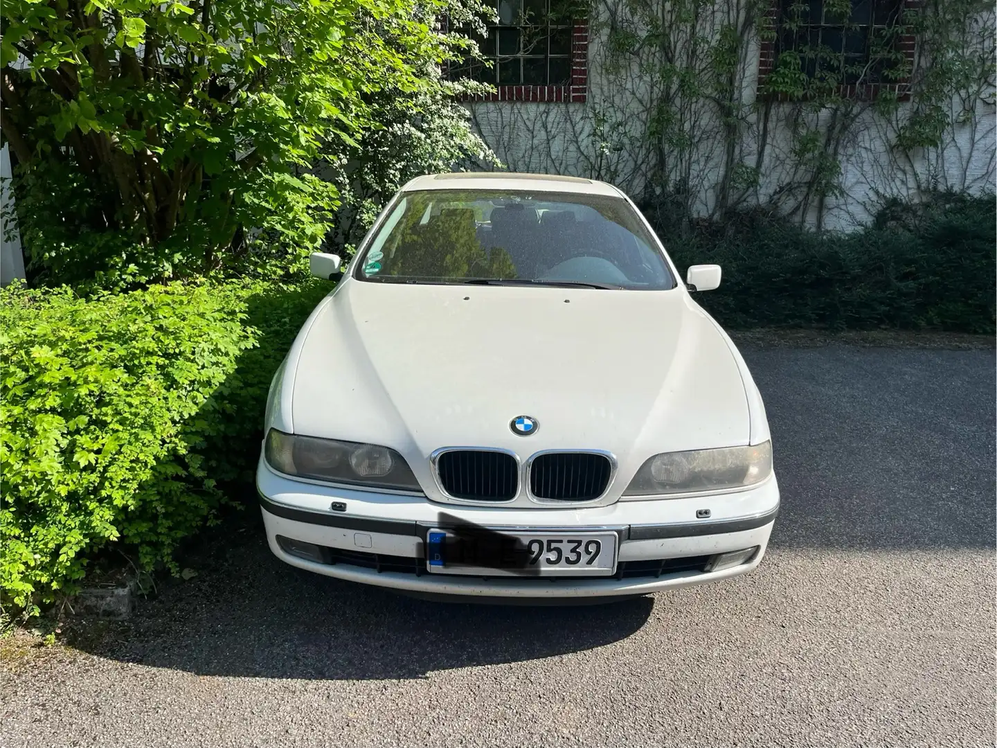 BMW 528 528i Weiß - 2