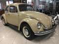 Volkswagen Maggiolino 11D 2 vetro piatto 12V Beige - thumbnail 3