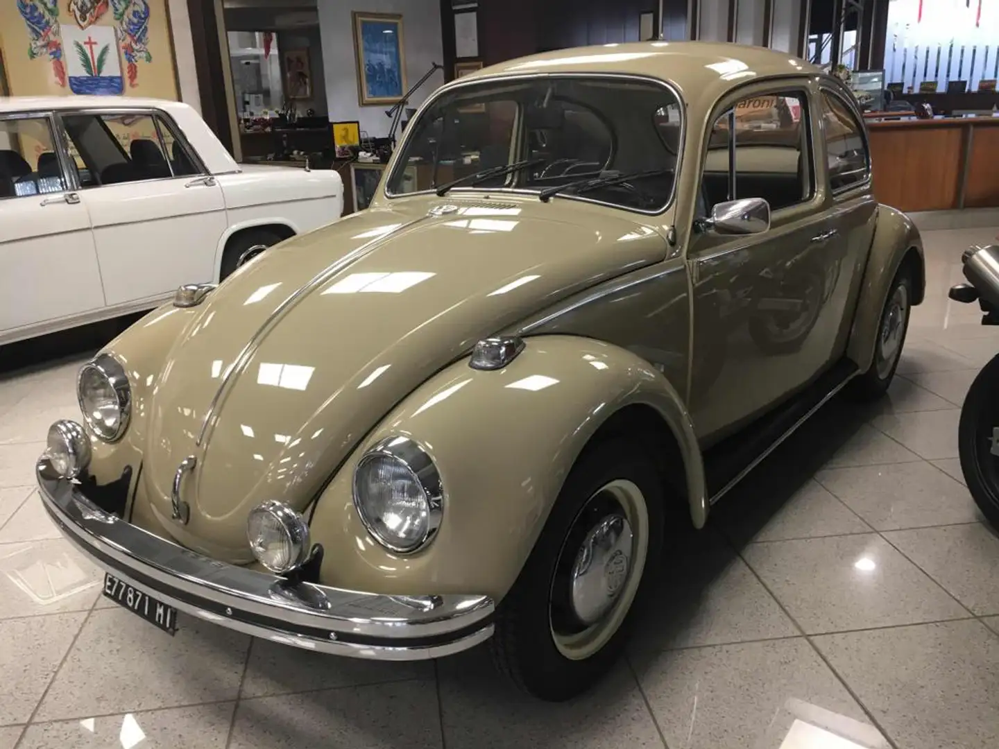 Volkswagen Maggiolino 11D 2 vetro piatto 12V Beige - 1