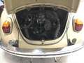 Volkswagen Maggiolino 11D 2 vetro piatto 12V Beige - thumbnail 5