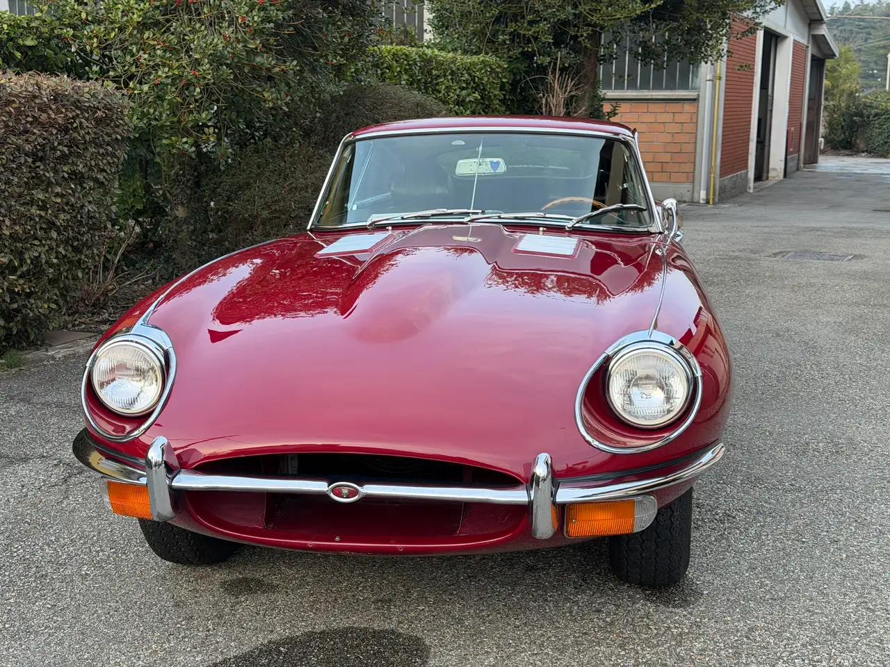 Jaguar E-Type Series 2 4.2 litri coupé (Fixed Head Coupé), foto 8