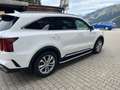 Kia Sorento 2,2 CRDi SCR AWD Platin DCT Weiß - thumbnail 3