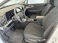 Kia Sportage 1.6 crdi mhev Business dct Bianco - thumbnail 15
