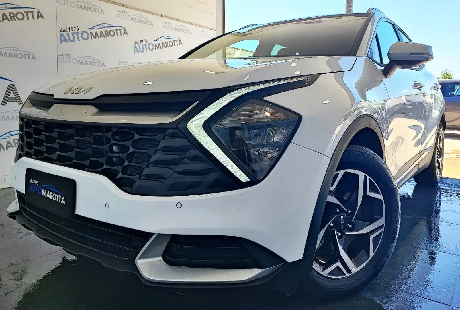 Kia Sportage 1.6 crdi mhev Business dct Bianco - 2