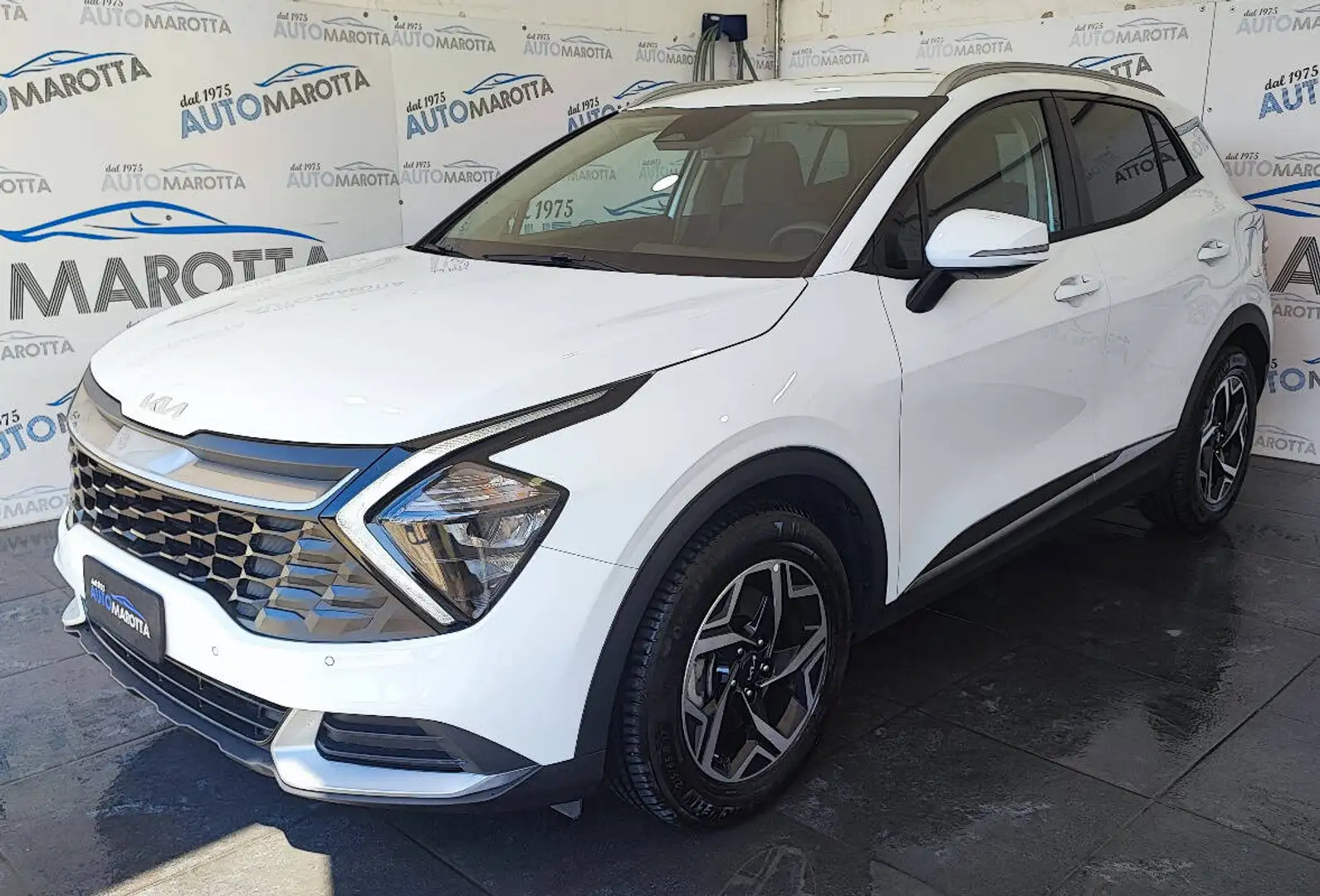 Kia Sportage 1.6 crdi mhev Business dct Bianco - 1