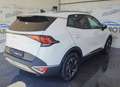 Kia Sportage 1.6 crdi mhev Business dct Bianco - thumbnail 5