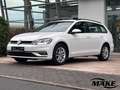 Volkswagen Golf VII Variant 1.6 TDI Comfortline NAVI ACC SHZ ASSIS Weiß - thumbnail 3