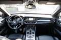 Alfa Romeo Stelvio 2.2 Turbodiesel 210 CV AT8 Q4 Veloce Grau - thumbnail 25