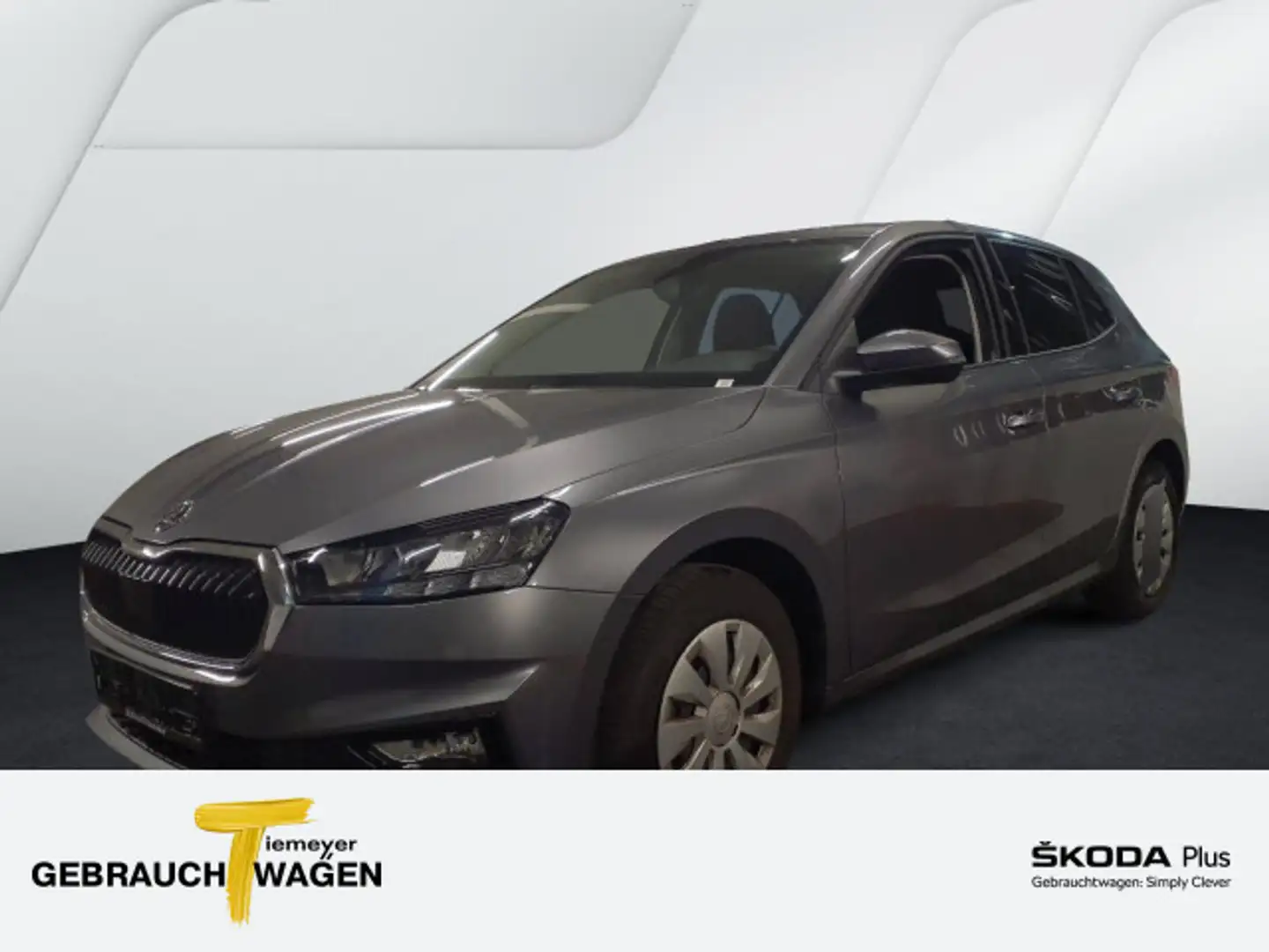 Skoda Fabia 1.0 SELECTION SITZH behMFL behWSS Grau - 1