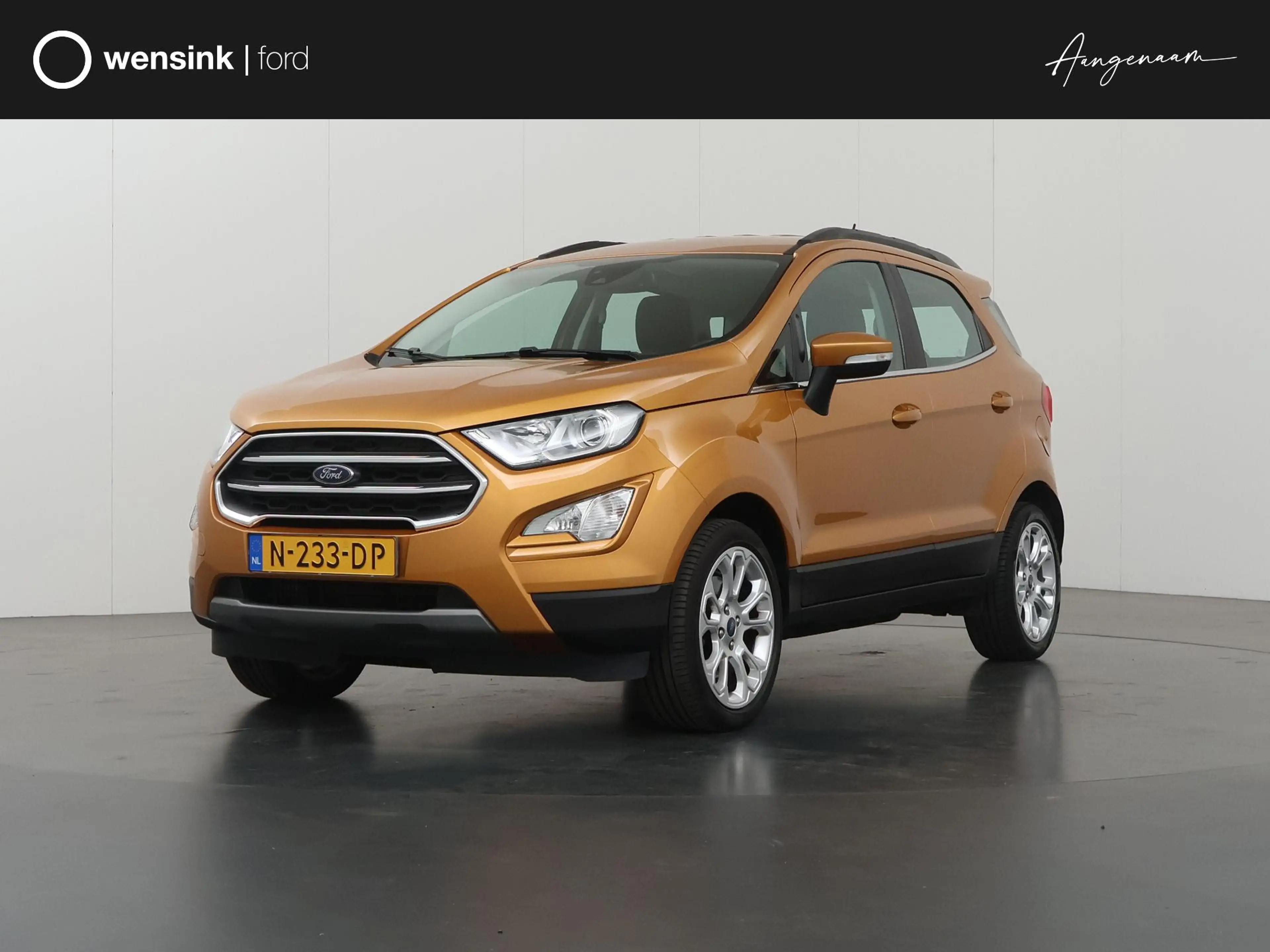 Ford EcoSport 1.0 EcoBoost Titanium | Trekhaak | Cruise Control