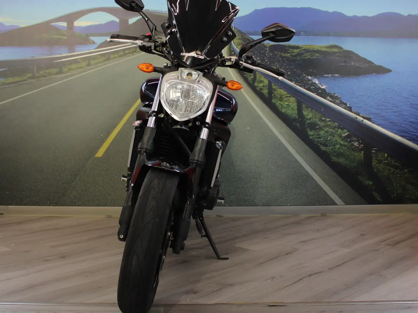 Yamaha FZ 6 S2 - 2009 - Km 15429 Blu/Azzurro - 2