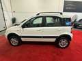 Fiat Panda 1.3 mjt 16v 4x4 NEOPATENTATI Wit - thumbnail 13