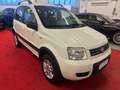 Fiat Panda 1.3 mjt 16v 4x4 NEOPATENTATI Wit - thumbnail 3