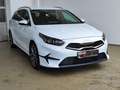 Kia Ceed SW / cee'd SW 1.5 T-GDI LED|Navi|SHZ Weiß - thumbnail 6
