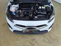 Kia Ceed SW / cee'd SW 1.5 T-GDI LED|Navi|SHZ Weiß - thumbnail 24