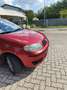 Fiat Punto 5p 1.2 Dynamic - thumbnail 3
