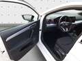 SEAT Ibiza FR 1.0 TSI 85 kW DSG*LED*Navi*SHZ Blanc - thumbnail 14