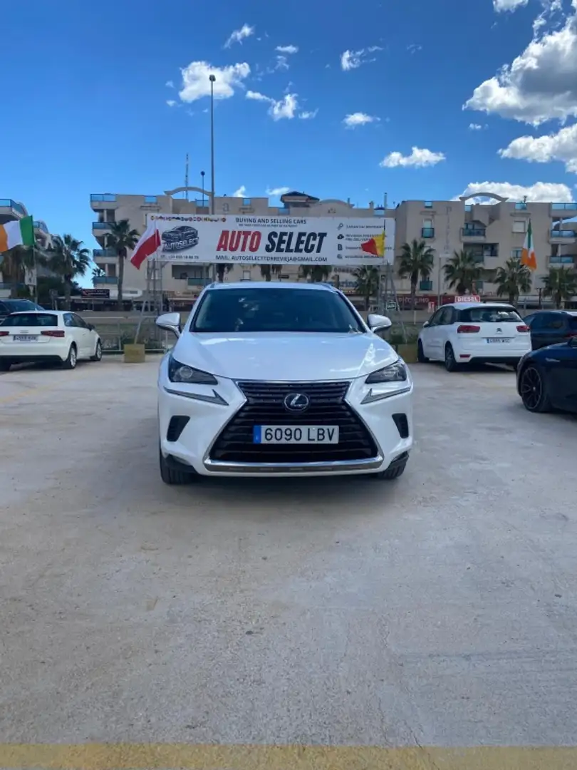Lexus NX 300 300h Executive Kick Power+ Navigation 4WD Blanco - 2