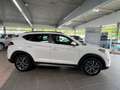 Hyundai TUCSON Style 2WD Pano+ACC+Kamera Around View uvm Wit - thumbnail 1