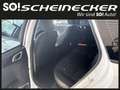 Kia Ceed SW / cee'd SW ceed SW 1,4 MPI GPF Titan Weiß - thumbnail 8