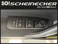 Kia Ceed SW / cee'd SW ceed SW 1,4 MPI GPF Titan Blanc - thumbnail 12