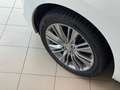 Suzuki Baleno 1.2cc 90CV BENZINA Weiß - thumbnail 14