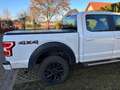 Ford F 150 Weiß - thumbnail 6