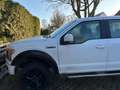 Ford F 150 Weiß - thumbnail 2