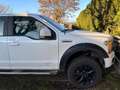 Ford F 150 Weiß - thumbnail 3