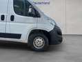 Opel Movano 2.2 D L1H1 2WD VA Selection Weiß - thumbnail 20