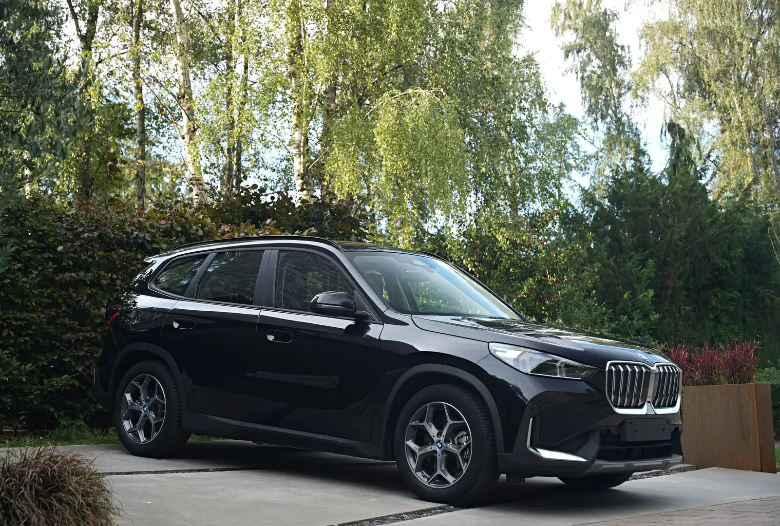 BMW iX1 xDrive30 Leder/Cm/CarPlay/Zetelverwarming - 2