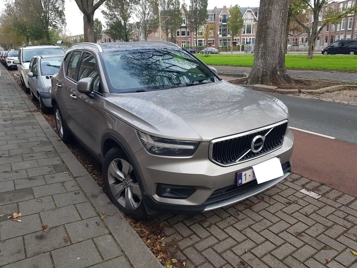 Volvo XC40 XC40 1.5 T3 Momentum Pro Gris - 2