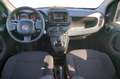 Fiat Panda 3ª serie 1.0 FireFly S&S Hybrid Grijs - thumbnail 12