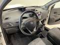 Lancia Ypsilon 1.0 FireFly Hybrid Ecochic 5P   *OK NEOPA.* Weiß - thumbnail 15