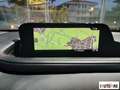 Mazda CX-30 2.0 m-hybrid Executive 2wd 150cv Bianco - thumbnail 12