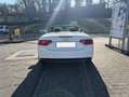 Audi A5 3.0 TDI quattro 3xS-Line Weiß - thumbnail 5