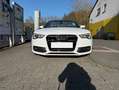 Audi A5 3.0 TDI quattro 3xS-Line Weiß - thumbnail 2