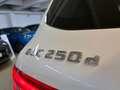 Mercedes-Benz GLC 250 GLC 250d Exclusive 4Matic 204PS Diesel Aut. Weiß - thumbnail 15
