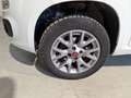 Fiat Panda 1.3mjt 80cv 4x4 AUTOCARRO 2 POSTI Blanco - thumbnail 16