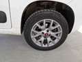 Fiat Panda 1.3mjt 80cv 4x4 AUTOCARRO 2 POSTI Bianco - thumbnail 11