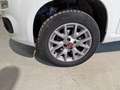 Fiat Panda 1.3mjt 80cv 4x4 AUTOCARRO 2 POSTI Blanco - thumbnail 18